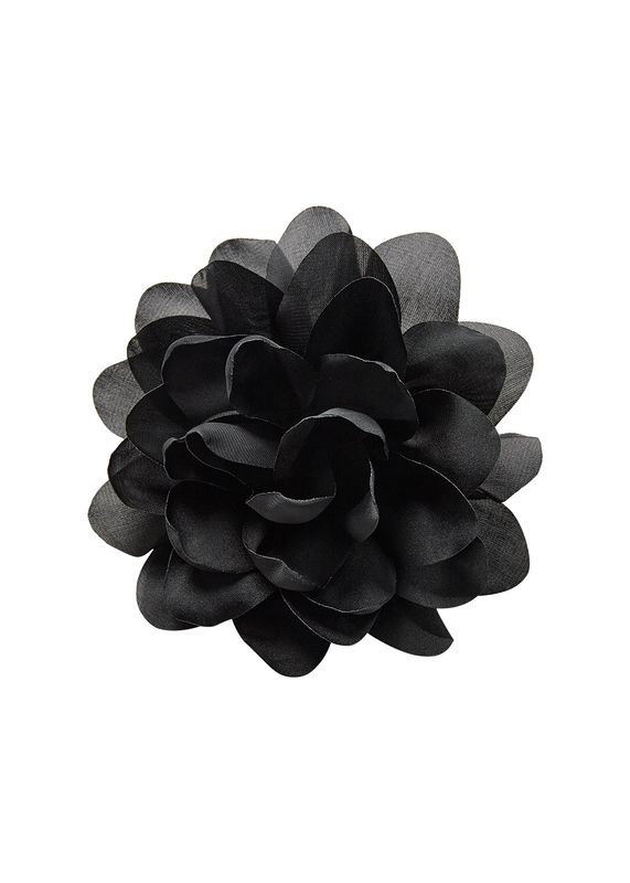 Dudley blomst til toppen/håret sort